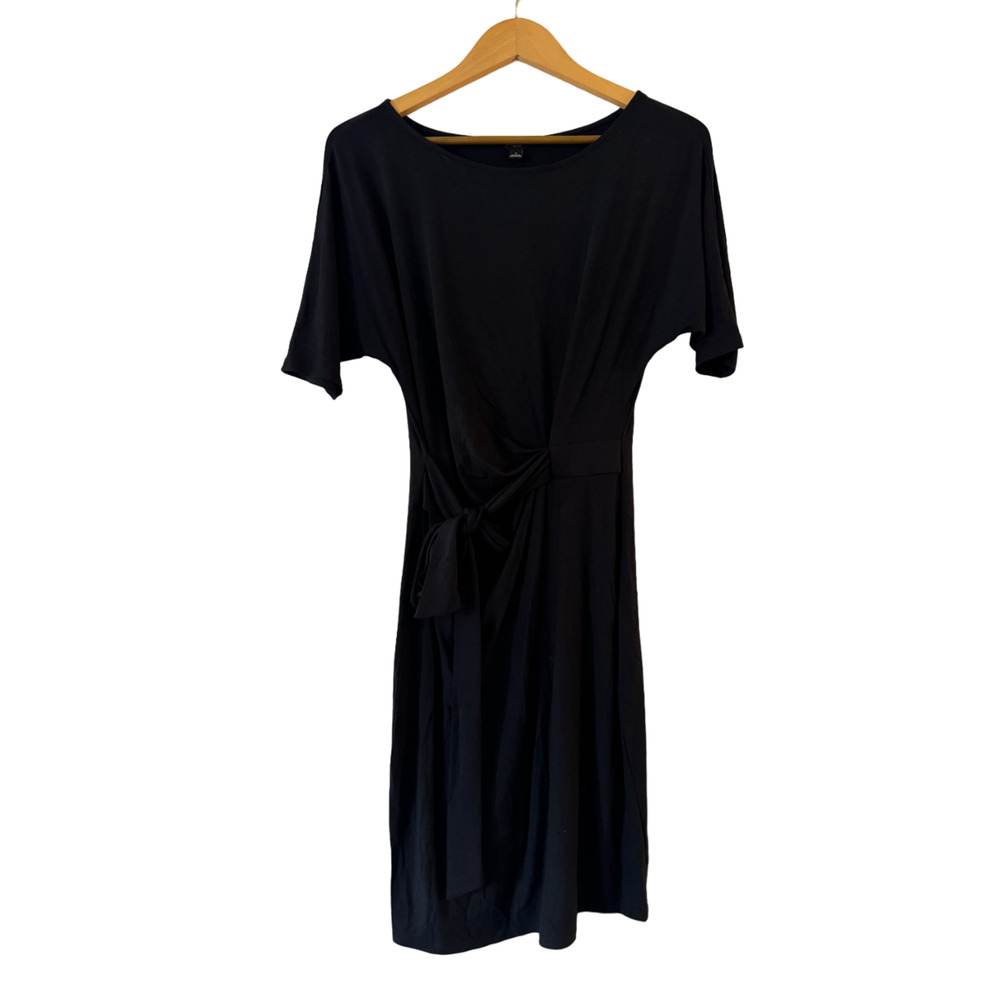 Ann Taylor Ruched Draped Tie Front Dress